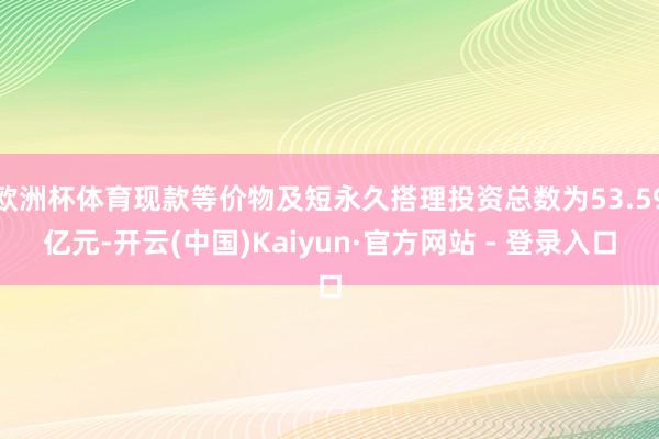 欧洲杯体育现款等价物及短永久搭理投资总数为53.59亿元-开云(中国)Kaiyun·官方网站 - 登录入口