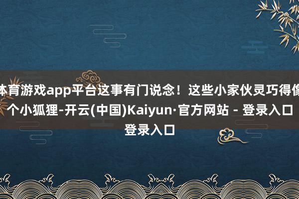 体育游戏app平台这事有门说念！这些小家伙灵巧得像个小狐狸-开云(中国)Kaiyun·官方网站 - 登录入口