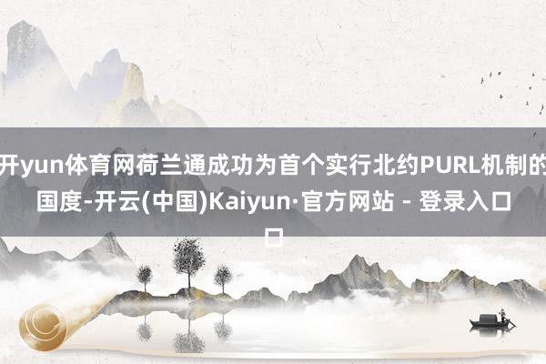 开yun体育网荷兰通成功为首个实行北约PURL机制的国度-开云(中国)Kaiyun·官方网站 - 登录入口